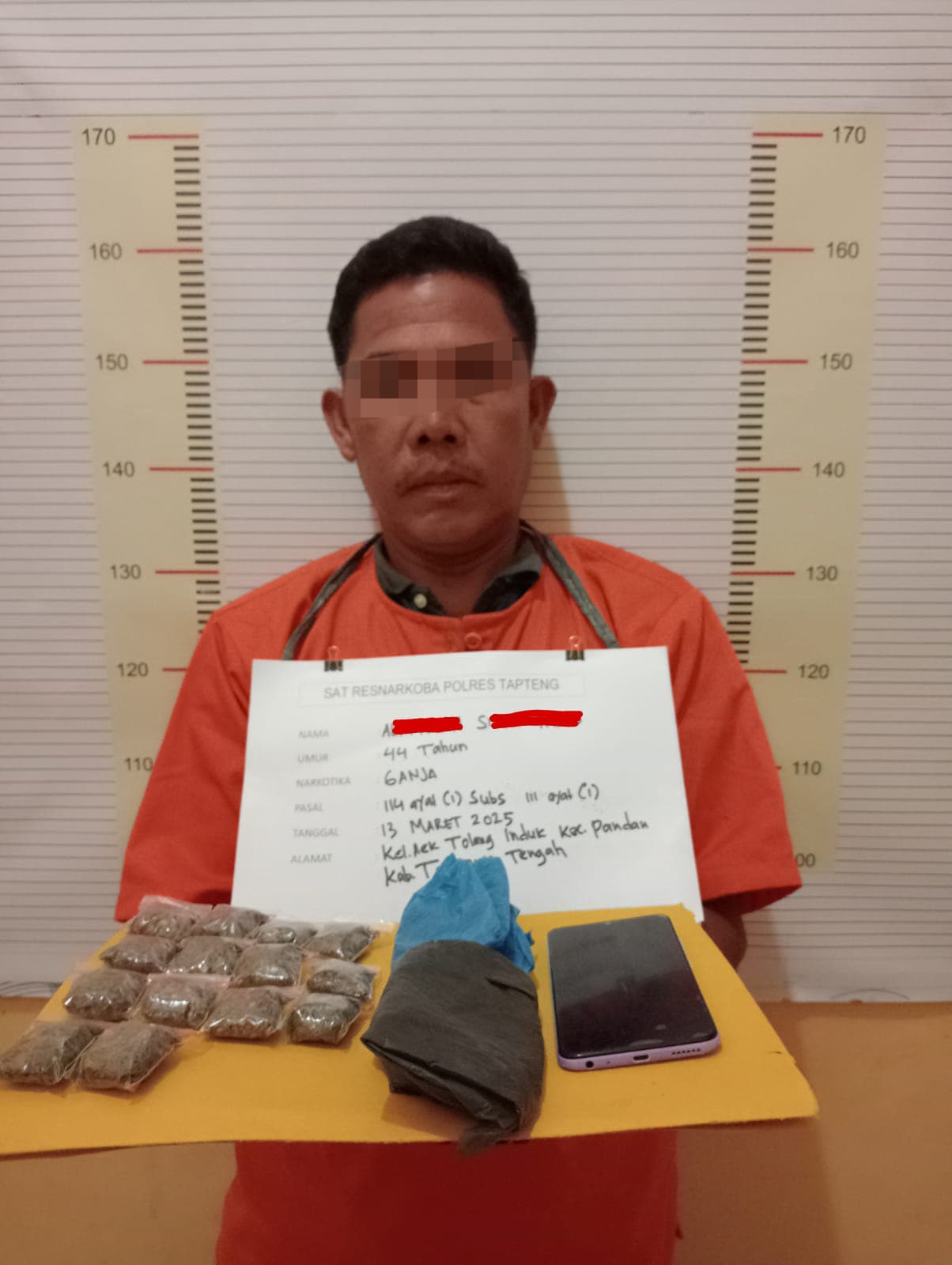 Pengedar Ganja di Aek Tolang Pandan, di Tangkap Sat Narkoba Polres Tapteng