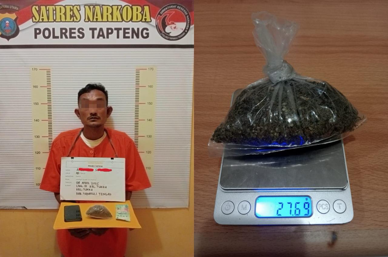 Pengedar Ganja Ditangkap Satresnarkoba Polres Tapteng di Tukka, Satu Pelaku Diburu