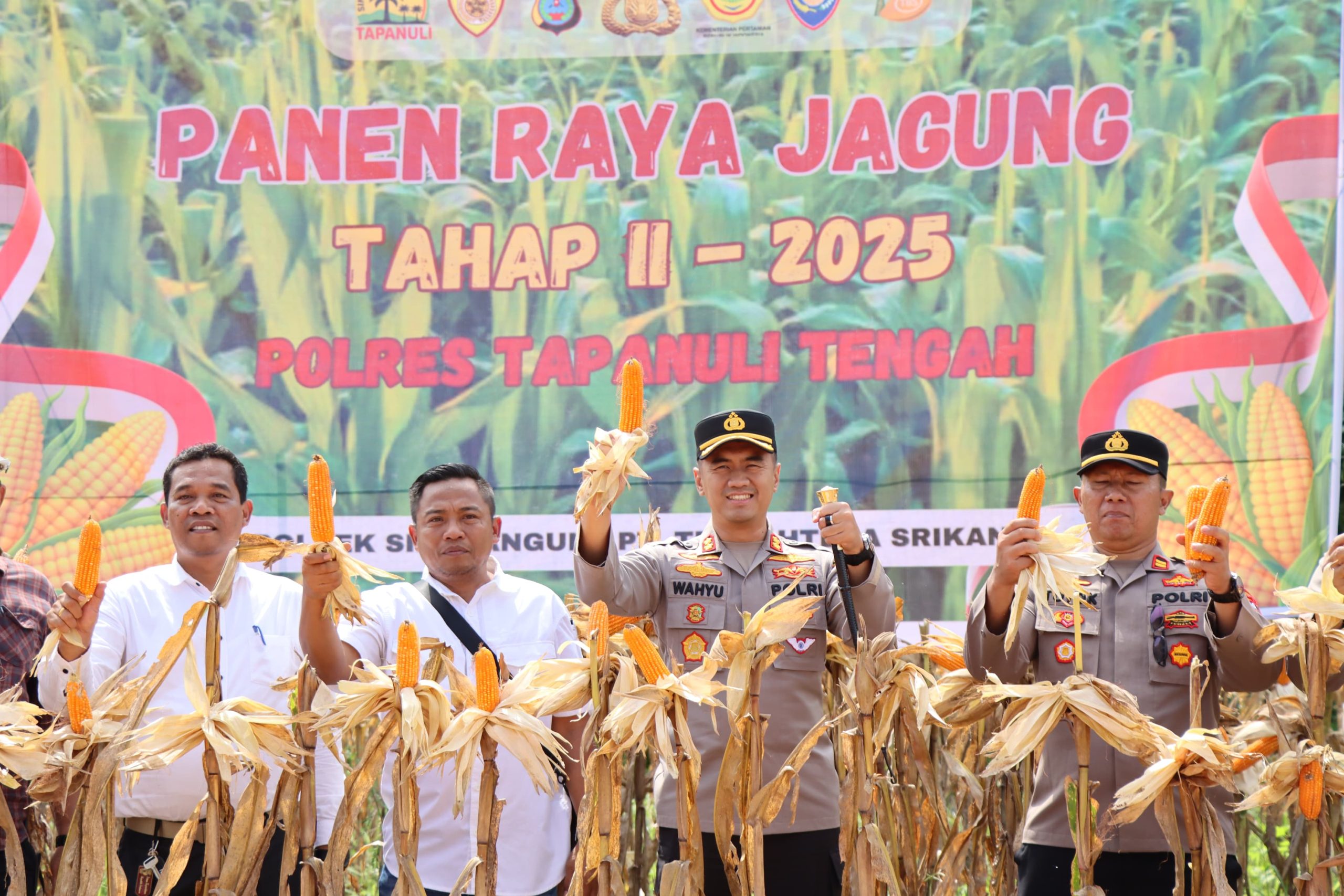 Polres Tapanuli Tengah Panen Raya Jagung Tahap 2 di Wilayah Sibabangun